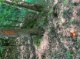 Standort WZP 4, Grst. 48 (6149 KB)
