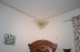 Foto (49 KB)