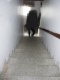 06 Zugang zur Whg.JPG
