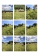 Foto11 (282 KB)