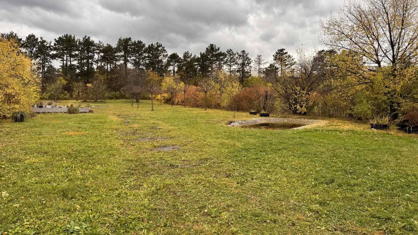 Herbstlicher Garten mit Teich und Bäumen vor bewölktem Himmel