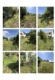 Foto12 (326 KB)