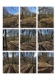Foto3 (397 KB)