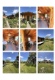 Foto2 (248 KB)
