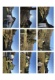Foto2 (232 KB)