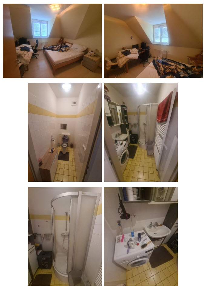 Schlafzimmer und Badezimmer mit Waschmaschine, Dusche und Toilette in einem Dachgeschoss.