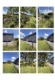 Foto4 (319 KB)
