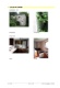 Fotodokumentation 4 (433 KB)