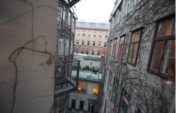 Wiener Innenhof mit Kletterpflanzen und Feuertreppe, im Hintergrund ein Altbau.