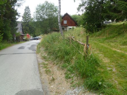 Holzpfahl mit Seilen und Gestrüpp neben asphaltierter Straße mit Häusern und Bäumen