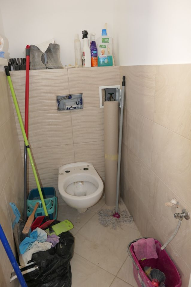 Reinigungsmittel und Putzzeug vor einer Toilette in einem Badezimmer