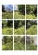 Foto2 (376 KB)