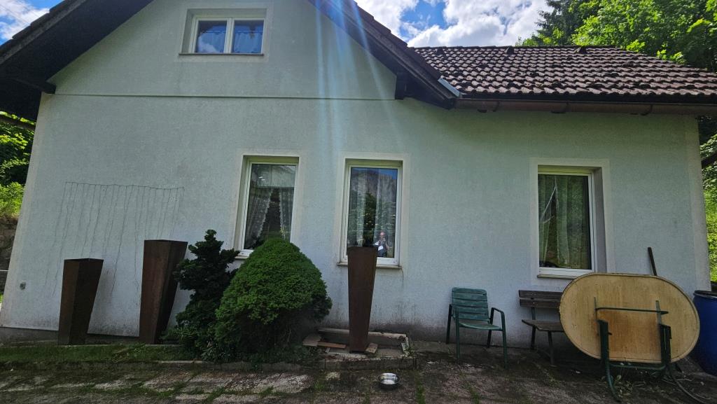 Hausfassade mit Fenstern, Zierpflanzen und Gartenmöbeln vor bewaldetem Hang