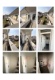 Foto4 (150 KB)