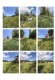 Foto9 (301 KB)