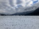 Wiesen (2626 KB)