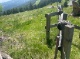 IMG_2390 GA.jpg