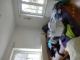 DG Whg 4 Zimmer (157 KB)