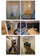 Foto (104 KB)