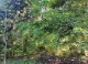 GST-NR2881 (6756 KB)