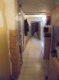 Foto (223 KB)