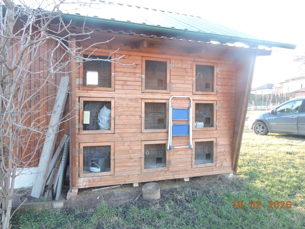 Holz Kleintierstall mit neun Gitternetzen und blauer Leiter daneben