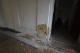 Foto 43 (319 KB)