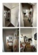Foto2 (128 KB)