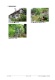 Fotodokumentation 5 (534 KB)