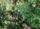 Quellbereich 3 (5574 KB)