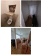 Foto (50 KB)