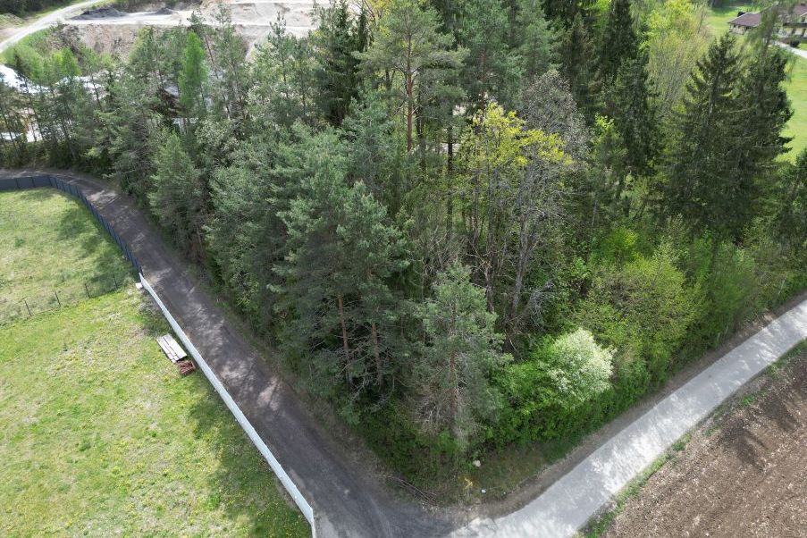 Waldrand mit Wiese, Zaun und Weg in Österreich
