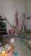 20250328_100727.jpg