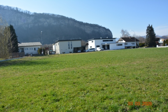 Wiese mit modernen Häusern und Berg im Hintergrund bei Schönwies