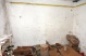 Haus KG 1 - Lagerkeller (171 KB)