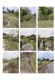 Foto1 (302 KB)