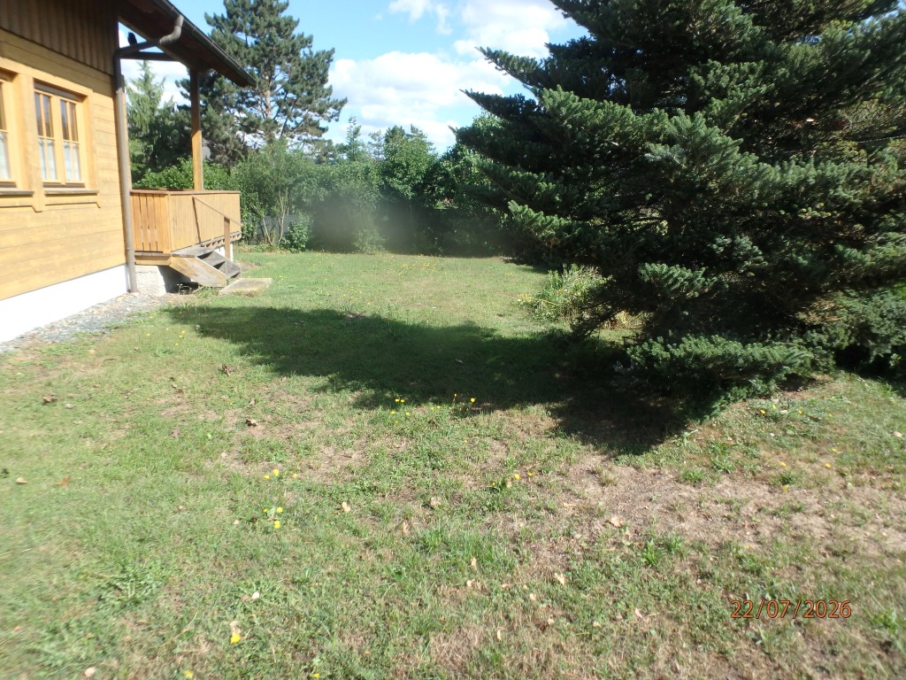 Holzhaus mit Veranda und großem Nadelbaum im Garten, Sonnenschein