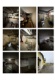 Foto9 (140 KB)