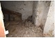 Foto 31 (421 KB)