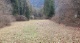 EZ 2046 Nord; Wiese (842 KB)