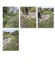 Foto6 (182 KB)