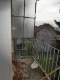 P1184500.JPG