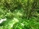 DSC03484.JPG