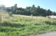 DSC_0002.JPG