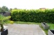 Terrasse Garten (219 KB)