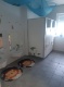 Kinderkrippe (50 KB)