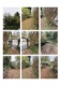 Foto1 (379 KB)