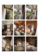 Foto9 (219 KB)