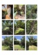 Foto7 (328 KB)
