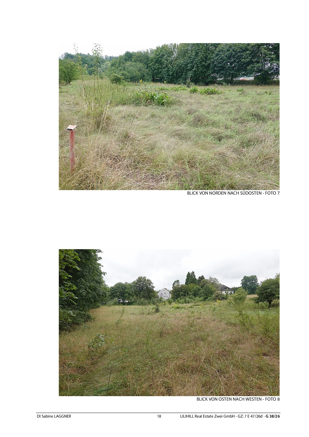 LILIHILL Real Estate: Blick von Osten nach Westen auf eine Wiese mit Bäumen und Häusern.
